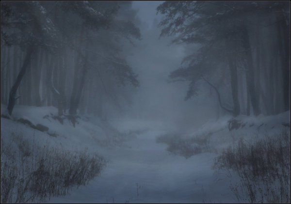 Снежная буря в лесу