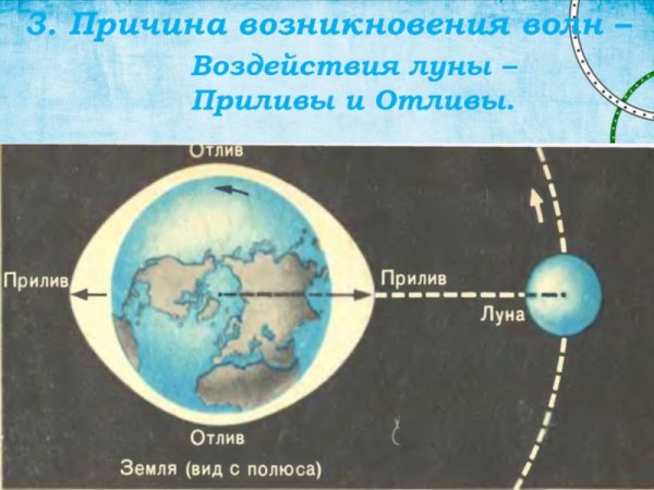 Механизм явления приливов и отливов на земле