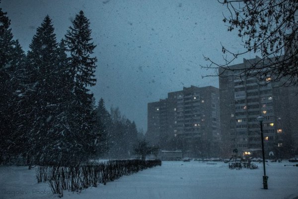 Панельки зимой
