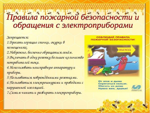 Правила поведения на Кан