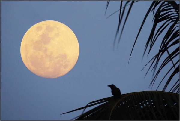 Луна на зеркалку