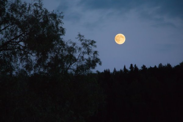 Полная Луна с земли