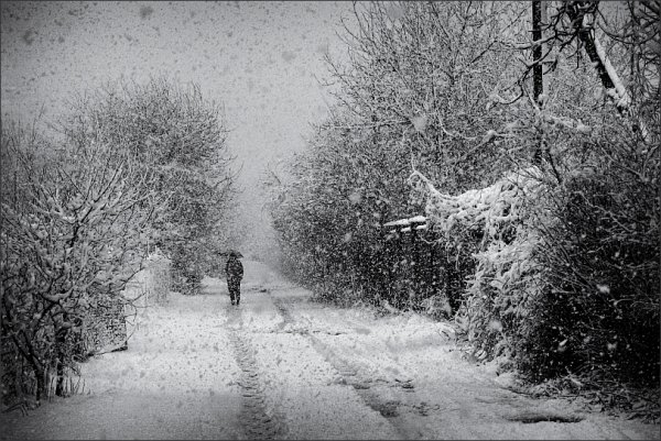 Снегопад черно белый