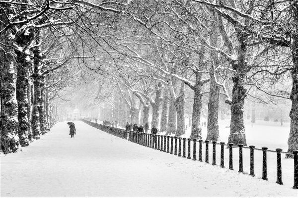 Зимний пейзаж в парке