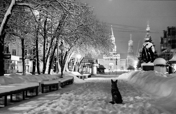 Йошкар Ола в снегу