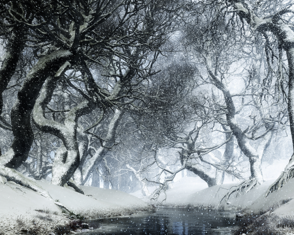 Мрачный зимний пейзаж