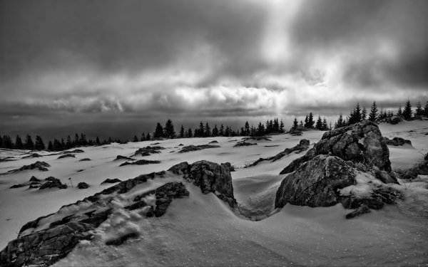 Контрастные пейзажи черно-белые