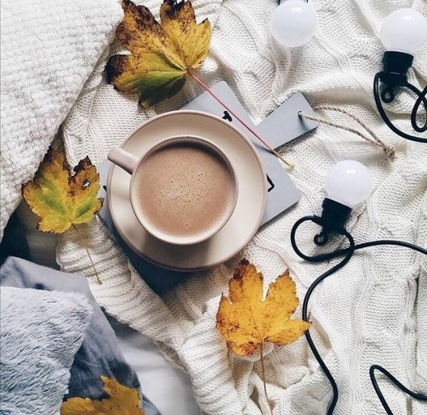 Стильное утро осени