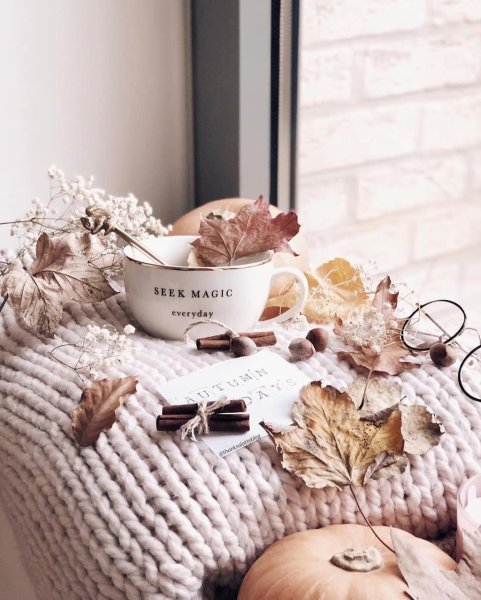 Стильные уютные цветы