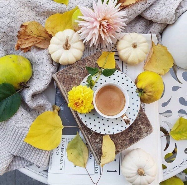 Доброе утро стильные