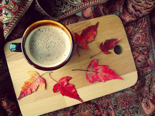 Осень арт с кофе