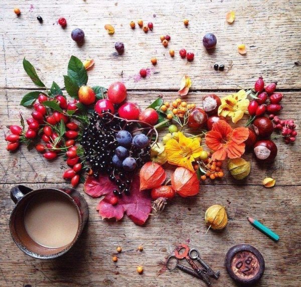 Осень цветы кофе