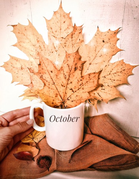 Шугаринг осень