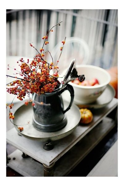 Красивое осеннее утро