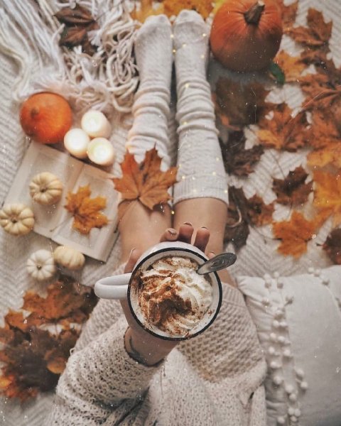 Осень Эстетика