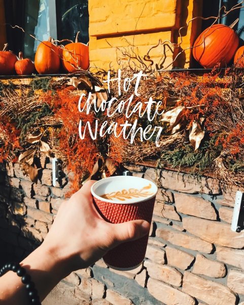 Осеннее утро Эстетика