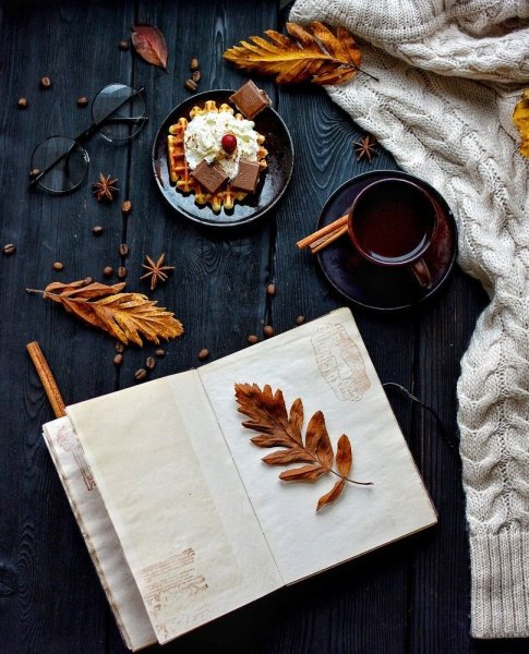 Уютная осень Эстетика