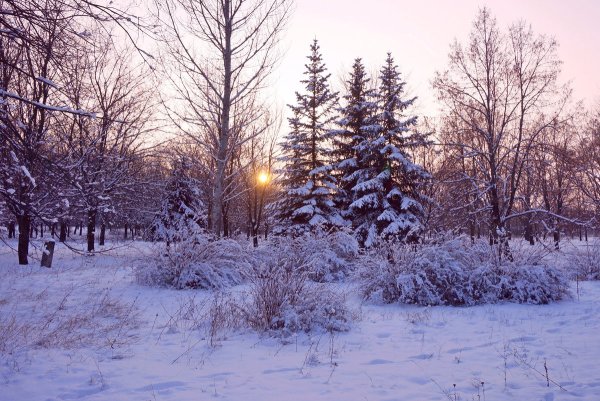 Зимой природа засыпает