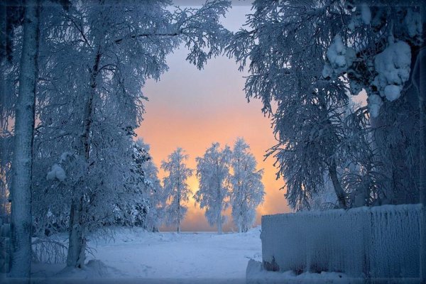 Сказочная зимняя Поляна