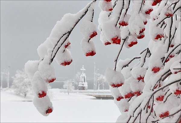 Зима рябина храм
