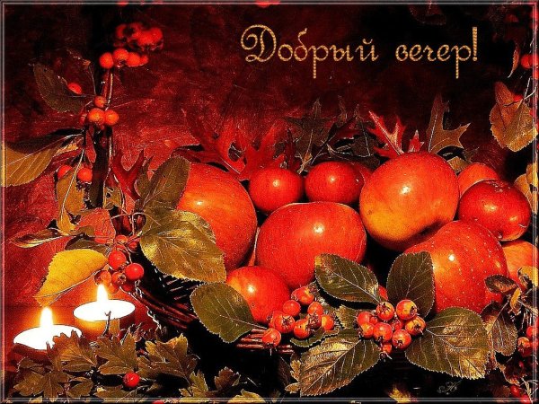 Доброго осененнено внсера