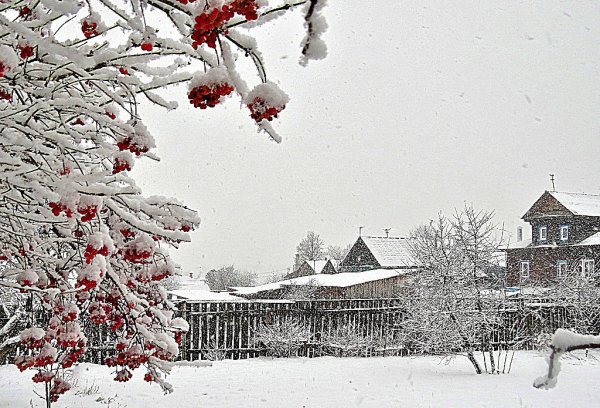 Первый снег в деревне