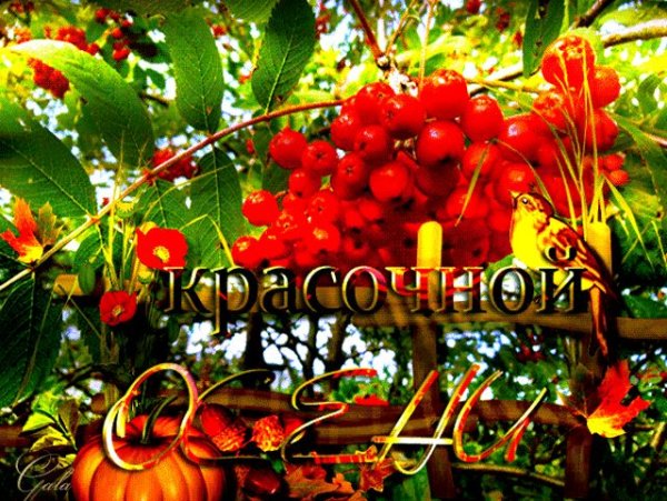 Доброе осеннее утро субботы анимация