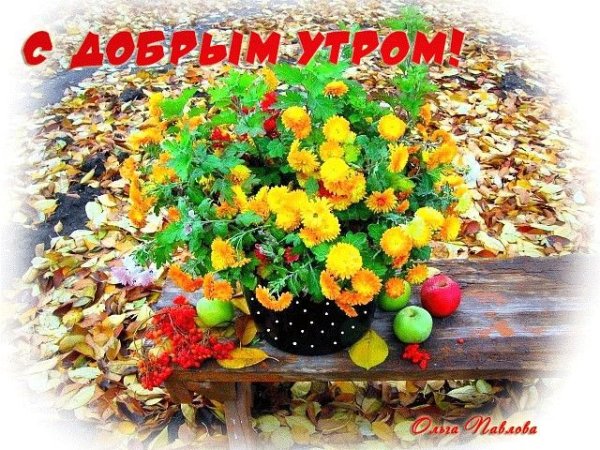 Отличной осенней пятницы