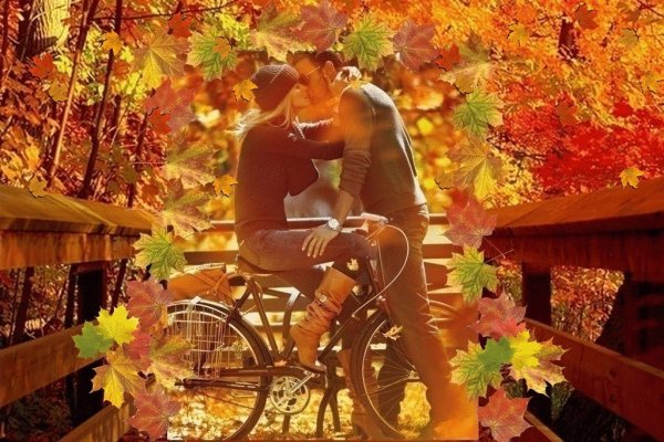 Осень любовь