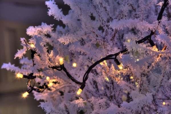 Снег огоньки