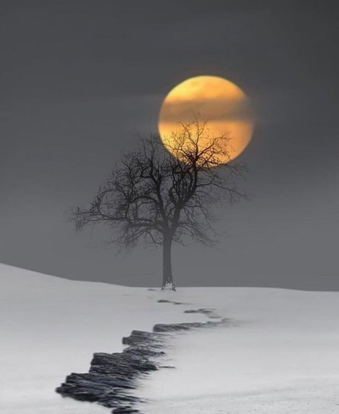 Зимняя Луна