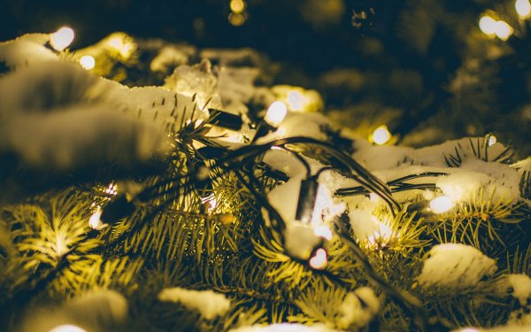 Гирлянда на снегу