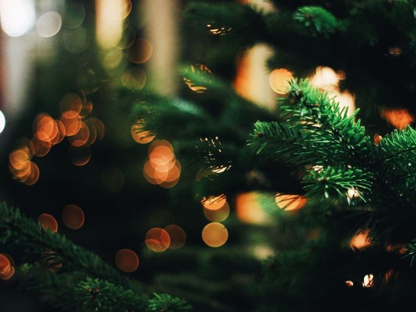 Новогодняя елка с огоньками