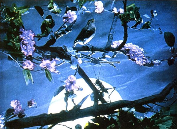 Соловей лунной ночью