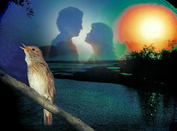 Соловей поет вечером