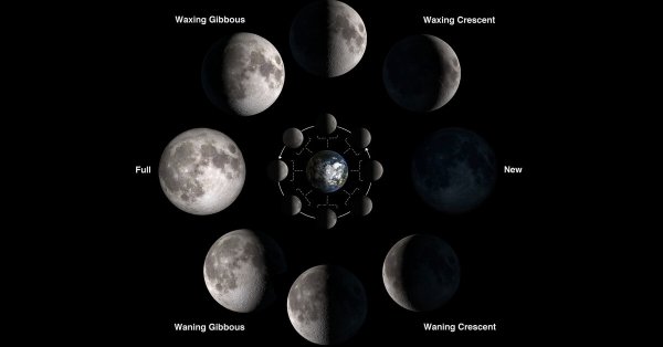 Синодический месяц Луны