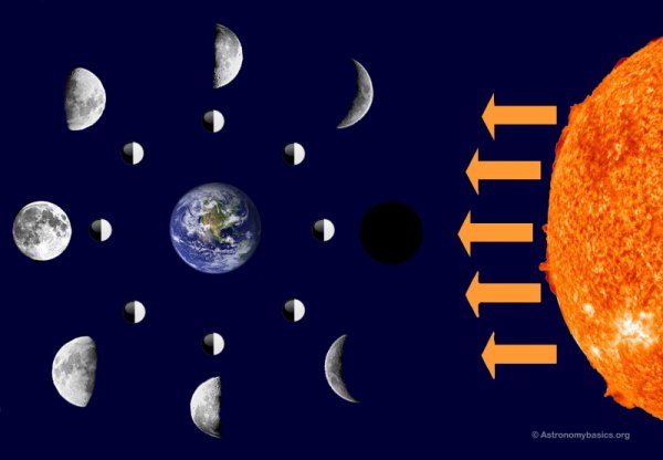 Стадии Луны для детей