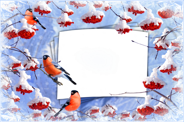 Рамка зимняя с птичками