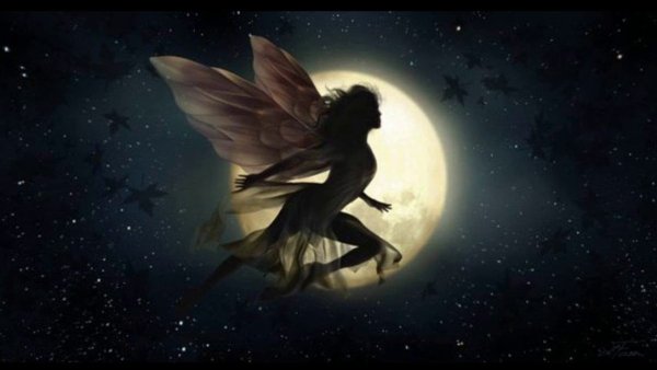 Фарэд ангел полнолуния