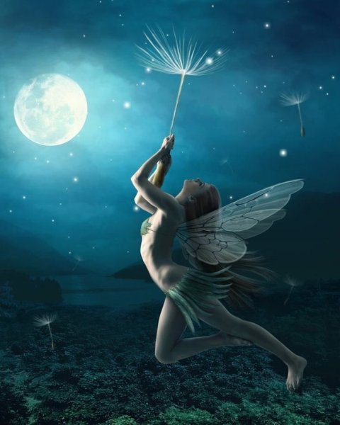 Фея в полете