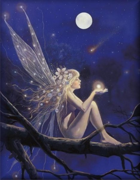 Ночная Фея