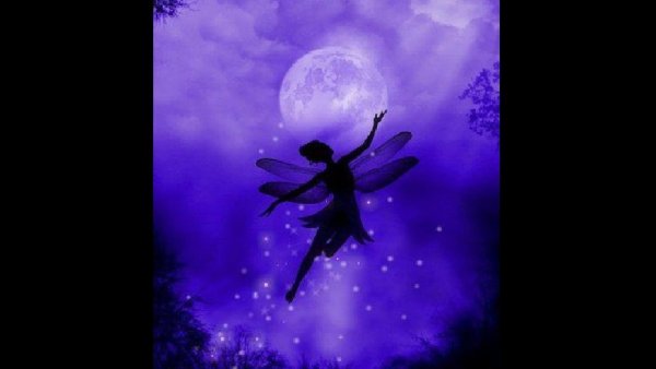 Фея в полете