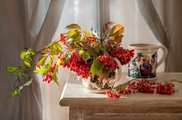 Нежное утро осень