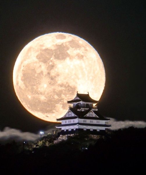 Japanese on the Moon