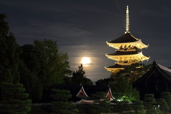 Цукими в Японии