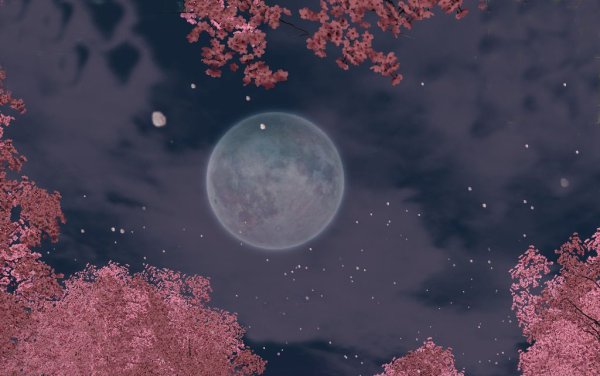 Луна в Японии