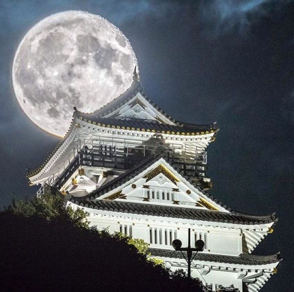 Луна в Японии