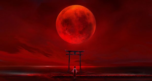 Красная Луна ( Хантер Эрин )