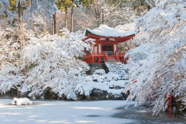 Зима в Осаке Япония