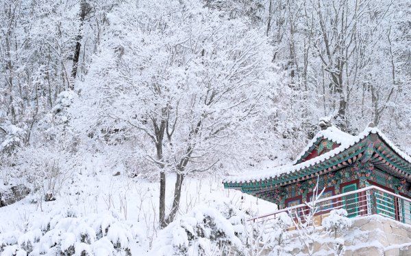 Япония зимой